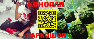 гидра Аргун