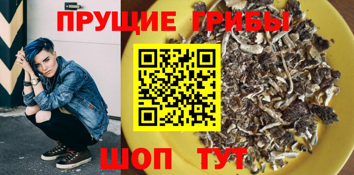 Галлюциногенные грибы прущие грибы  Галлюциногенные грибы Psilocybe  Вход с VPN  Баксан 
