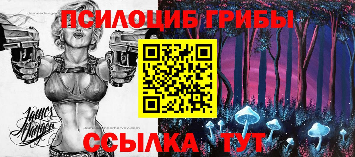 Псилоцибиновые грибы Cubensis Баксан