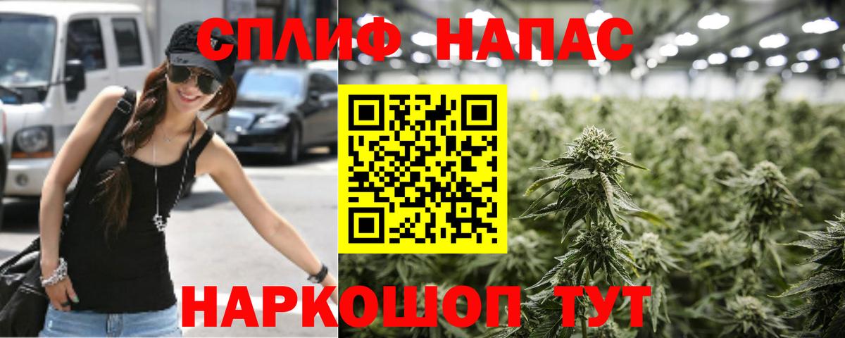 Бошки марихуана семена Баксан